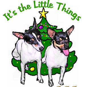 Toy Fox Terrier Weihnachtsgeschenke Feiertagskarte