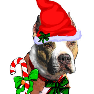 Niedlich Pit Bull Weihnachten