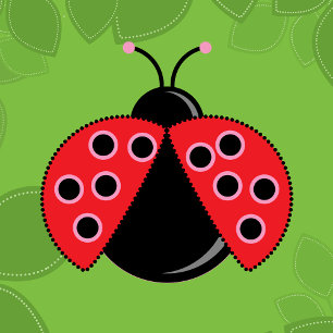 Ladybug 1. Geburtstag Einladung mit Bild