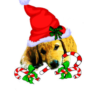 Golden Retriever Puppy Christmas Card Feiertagskarte