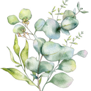 Grüne Aquarelleukalyptus mit Foto-Folie f Folie Einladungspostkarte