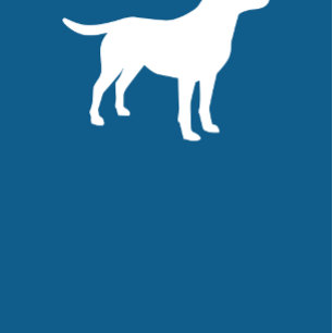 Labrador Dog Baby Shower Blue Boy Labrador Einladung