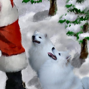American Eskimo Dog Weihnachten