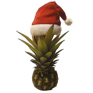 Hawaiianische Ananas-Weihnachtsmannmütze Weihnacht Feiertagskarte