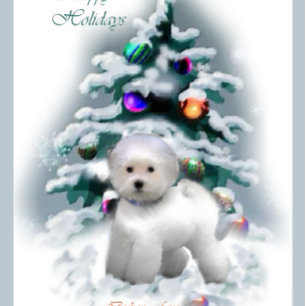 Bichon Frise Christmas Geschenke Feiertagskarte