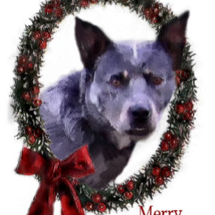 Australischer Rinderhund Weihnachtsgeschenke Feiertagskarte