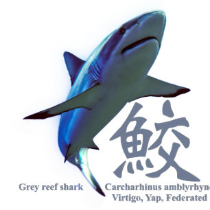Reef Shark Silhouette Whiskyglas