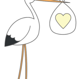 Niedlich Stork Baby Dusche Mod Pink Girl Einladung