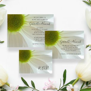 White Daisy Blume Petals Wedding Einladung