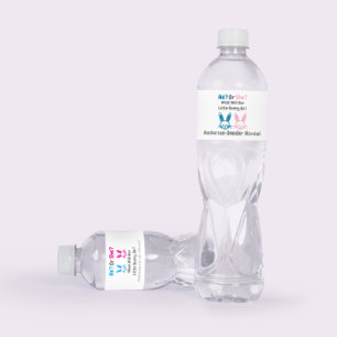 Little Bunny Gender Reveal Wasser Flasche Etikett