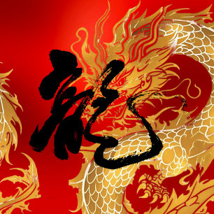 Gold Red Dragon 龍 Chinesisch-Japanische Kalligrafi Kissen