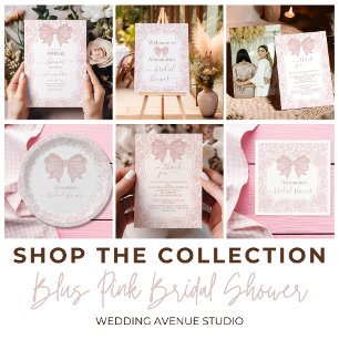 Blush Pink White Chinoiserie Brautparty