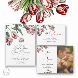Foto Save the Date Rot und Weiße Tulpen Postkarte