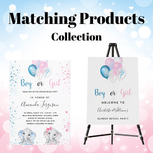 Geschlecht offenbart Party rosa blaue Haushaltsein Flyer