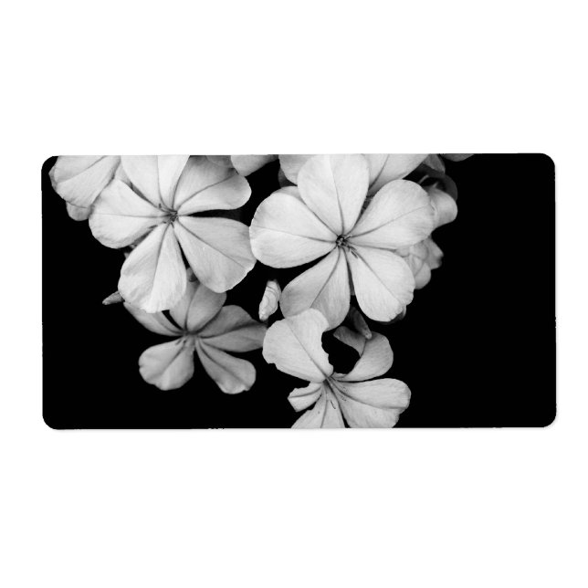 sw Postkarte (Vorne)