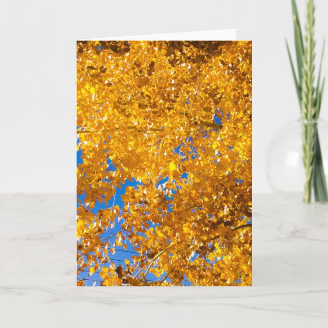 SW Textur #4 Karte (Vorderseite)