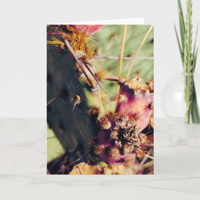 SW Textur Title Frame Karte (Vorderseite)