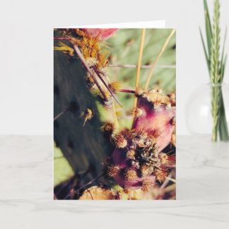 SW Textur Title Frame Karte