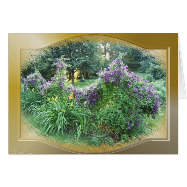 Swagged Clematis ~ Karte (Vorderseite (Horizontal))
