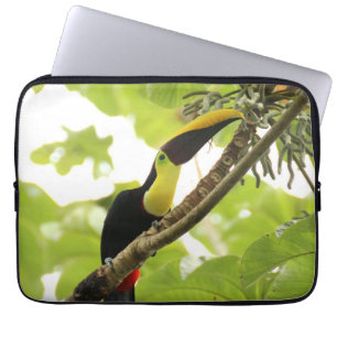 Swainson Toucan Exotic Bird Laptopschutzhülle