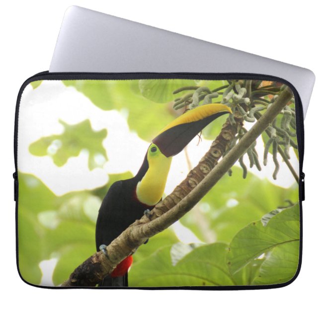 Swainson Toucan Exotic Bird Laptopschutzhülle (Vorderseite)