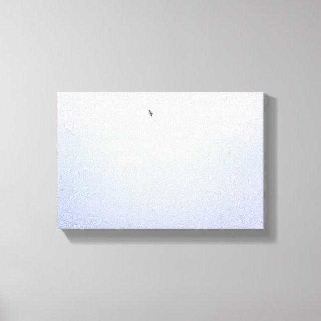 Swainson's Hawk Leinwanddruck (Vorderseite)