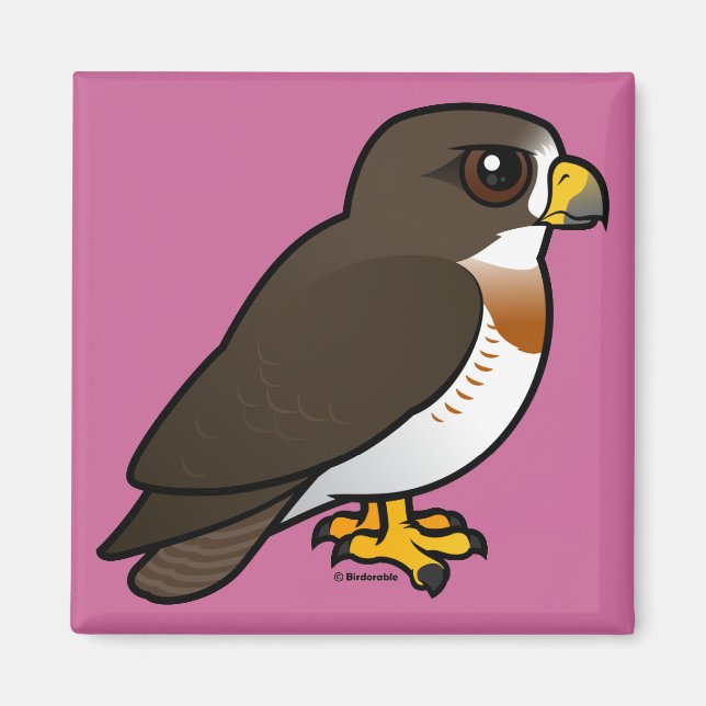 Swainson's Hawk Magnet (Vorne)