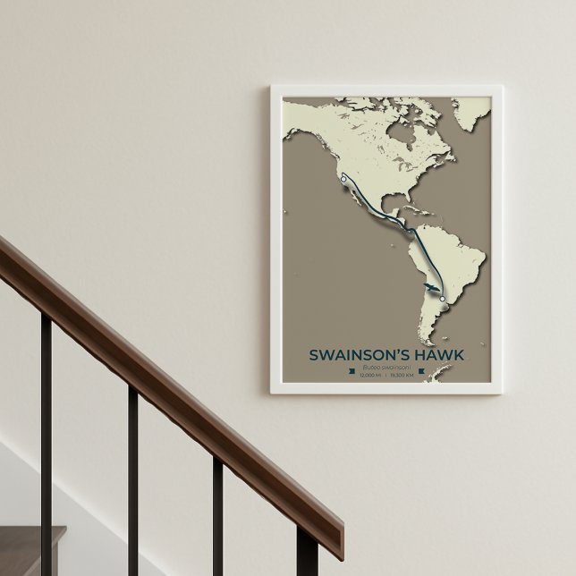 Swainsons "Hawk Migration Map" - Minimalistisch Vi Poster (Von Creator hochgeladen)