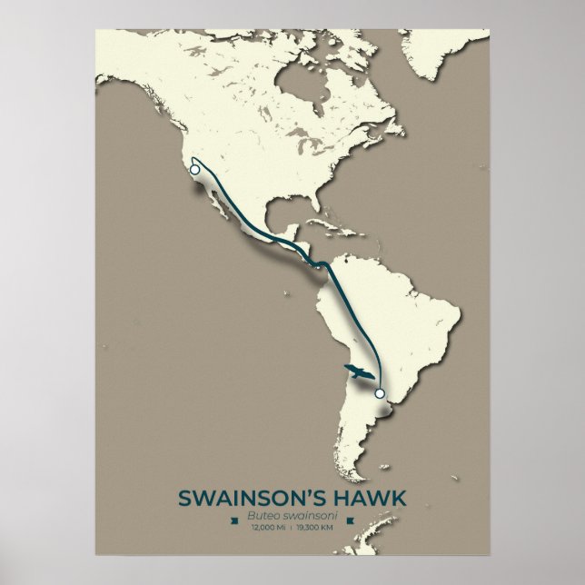 Swainsons "Hawk Migration Map" - Minimalistisch Vi Poster (Vorne)