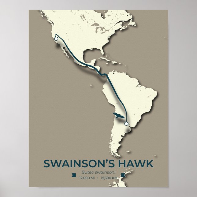 Swainsons "Hawk Migration Map" - Minimalistisch Vi Poster (Vorne)