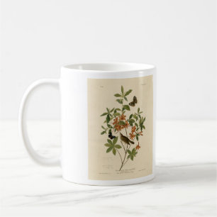 Swainson's Warbler von Audubons Vögeln von Amerika Kaffeetasse