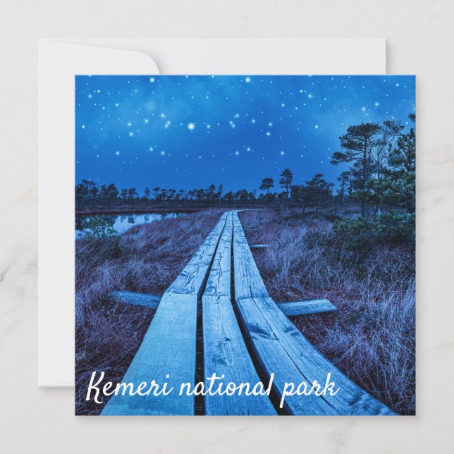 Swamp Night (Vorderseite)