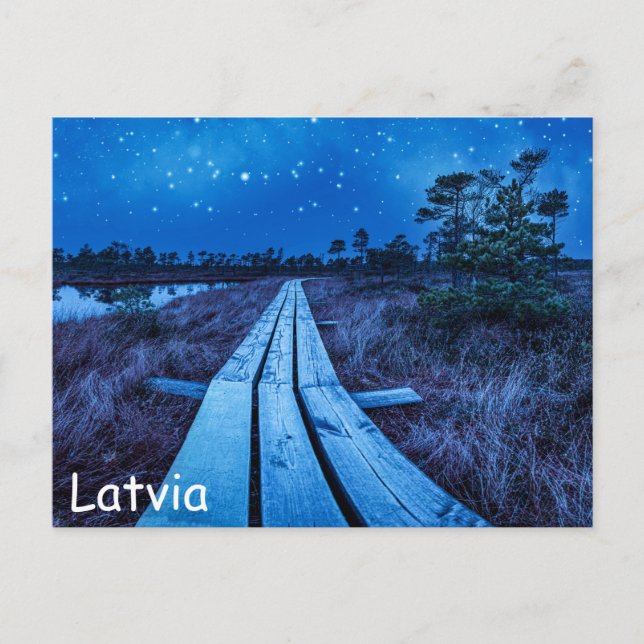 Swamp Night Postkarte (Vorderseite)