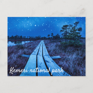 Swamp Night Postkarte