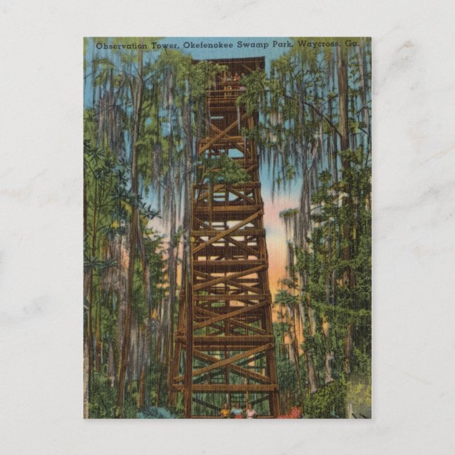 Swamp Park Okelenokee, Waycross, Georgia Postkarte (Vorderseite)