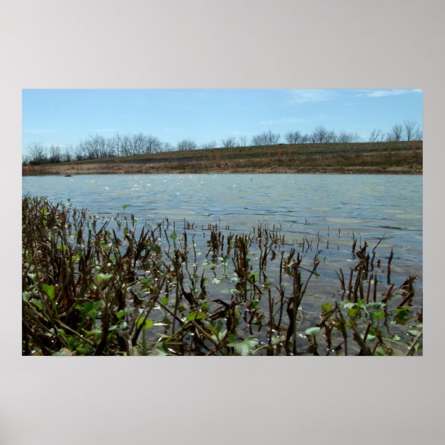 Swampy Scape Poster (Vorne)