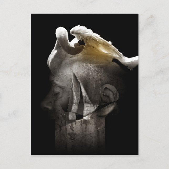 Swan 2013 postkarte (Vorderseite)