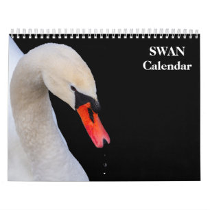 Swan 2025 kalender