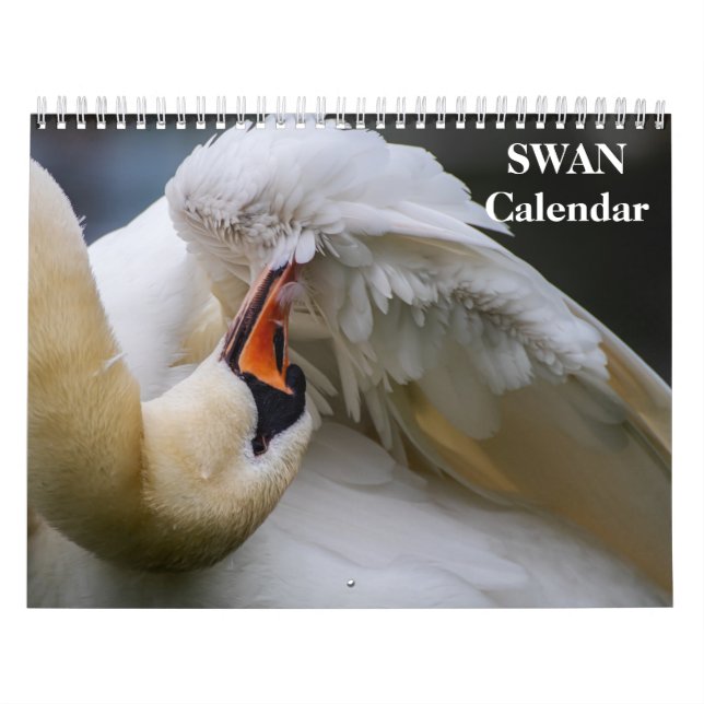 Swan 2025 kalender (Titelbild)