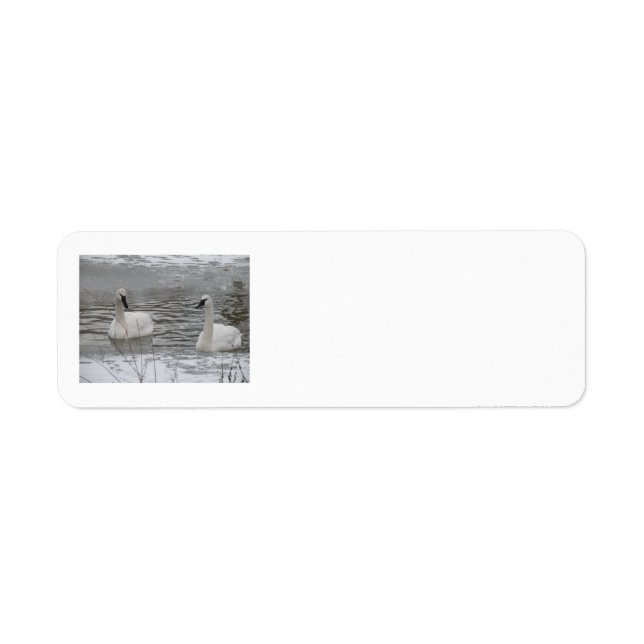 Swan Address Labels (Vorne)