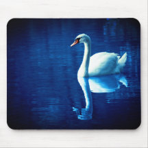 Swan am See