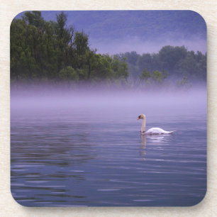 Swan am See Untersetzer