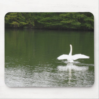 Swan am Town Lake Mousepad