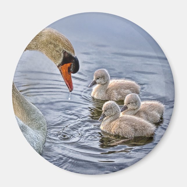 Swan and Babies Magnet (Vorne)