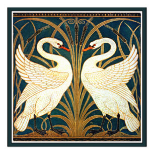 Swan and Rush and Iris Fotodruck