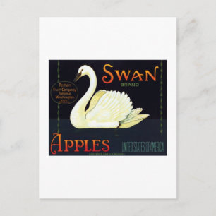 Swan Apples Postkarte