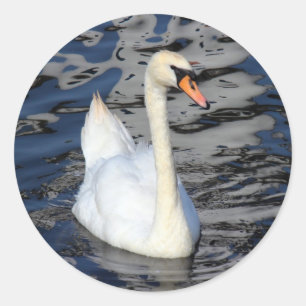 Swan auf einem See Runder Aufkleber