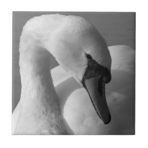 Swan (B&W) Fliese