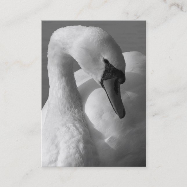 Swan B&W Visitenkarte (Vorderseite)