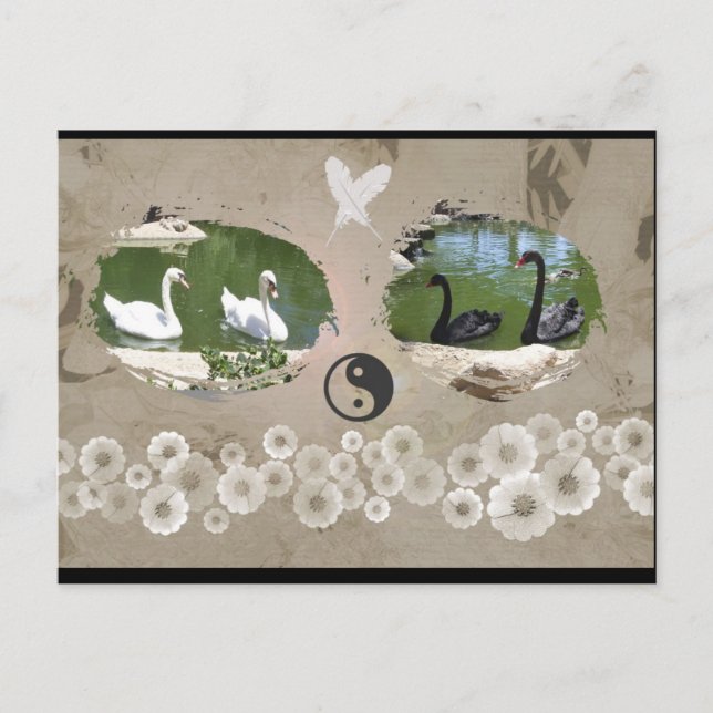 Swan-Bilanz-Postkarte Postkarte (Vorderseite)